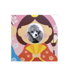 ふんばりトイプードル「メロン」のスタンプ（個別スタンプ：29）