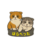 ririワールド第二弾〜愉快な仲間〜（個別スタンプ：4）