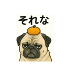 こむぎの仲間（個別スタンプ：4）