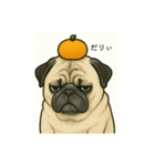 こむぎの仲間（個別スタンプ：6）