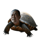 おじ亀（個別スタンプ：1）