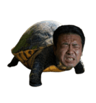 おじ亀（個別スタンプ：2）