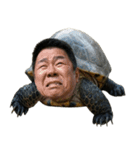 おじ亀（個別スタンプ：32）