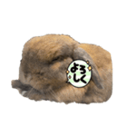 津丸家のアイドル2（個別スタンプ：5）