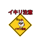 ニワトリ No48 注意系（個別スタンプ：4）