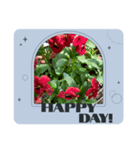 Mygardenflawer17（個別スタンプ：1）