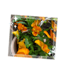 Mygardenflawer17（個別スタンプ：2）