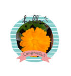 Mygardenflawer17（個別スタンプ：4）