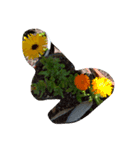Mygardenflawer17（個別スタンプ：5）