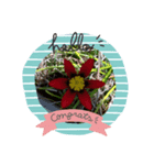 Mygardenflawer17（個別スタンプ：6）