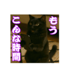 黒猫ママの主婦ライフ（個別スタンプ：2）