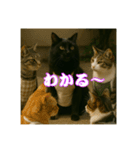 黒猫ママの主婦ライフ（個別スタンプ：4）