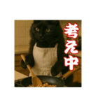 黒猫ママの主婦ライフ（個別スタンプ：5）