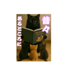 黒猫ママの主婦ライフ（個別スタンプ：7）