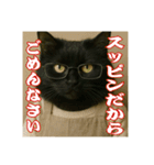 黒猫ママの主婦ライフ（個別スタンプ：12）