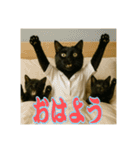 黒猫ママの主婦ライフ（個別スタンプ：13）