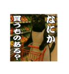黒猫ママの主婦ライフ（個別スタンプ：14）