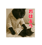 黒猫ママの主婦ライフ（個別スタンプ：16）
