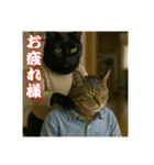 黒猫ママの主婦ライフ（個別スタンプ：18）