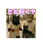 黒猫ママの主婦ライフ（個別スタンプ：24）