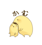 チュゴイネシリーズ（個別スタンプ：6）