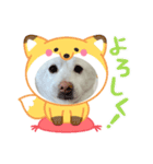 マシュ！（個別スタンプ：1）