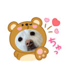 マシュ！（個別スタンプ：2）