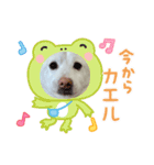 マシュ！（個別スタンプ：5）
