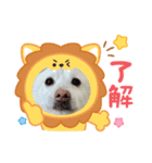 マシュ！（個別スタンプ：6）