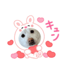マシュ！（個別スタンプ：9）