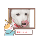 マシュ！（個別スタンプ：15）