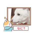 マシュ！（個別スタンプ：16）