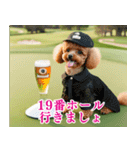 トイプのゴルファー【毎日使える】（個別スタンプ：3）
