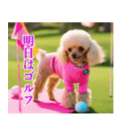 トイプのゴルファー【毎日使える】（個別スタンプ：6）