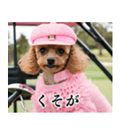 トイプのゴルファー【毎日使える】（個別スタンプ：8）