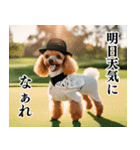 トイプのゴルファー【毎日使える】（個別スタンプ：9）