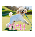 トイプのゴルファー【毎日使える】（個別スタンプ：10）
