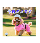 トイプのゴルファー【毎日使える】（個別スタンプ：17）