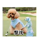トイプのゴルファー【毎日使える】（個別スタンプ：23）
