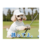 トイプのゴルファー【毎日使える】（個別スタンプ：25）
