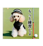 トイプのゴルファー【毎日使える】（個別スタンプ：27）
