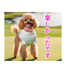 トイプのゴルファー【毎日使える】（個別スタンプ：28）