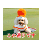 トイプのゴルファー【毎日使える】（個別スタンプ：31）