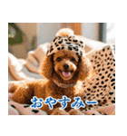トイプのゴルファー【毎日使える】（個別スタンプ：34）