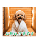 トイプのゴルファー【毎日使える】（個別スタンプ：37）