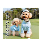 トイプのゴルファー【毎日使える】（個別スタンプ：40）