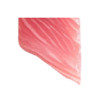 まぐろ！(MAGURO)（個別スタンプ：33）