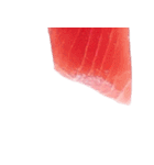 まぐろ！(MAGURO)（個別スタンプ：35）