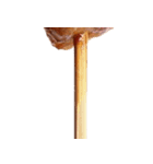 焼き鳥！(YAKITORI)（個別スタンプ：32）