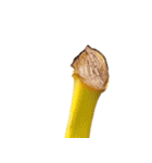 バナナ！(banana)（個別スタンプ：1）